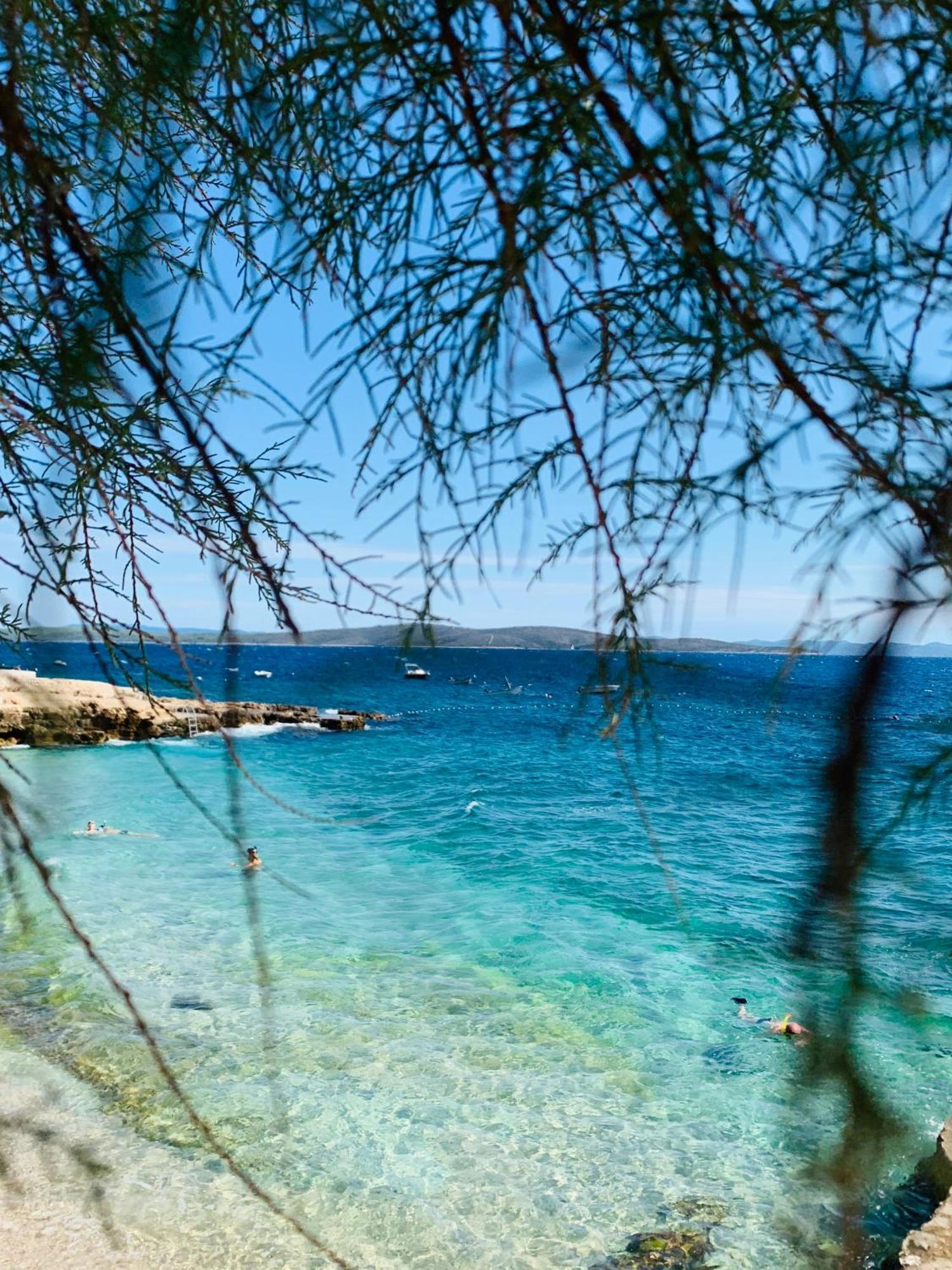 Villa Hvar イバン・ドーラッツ エクステリア 写真